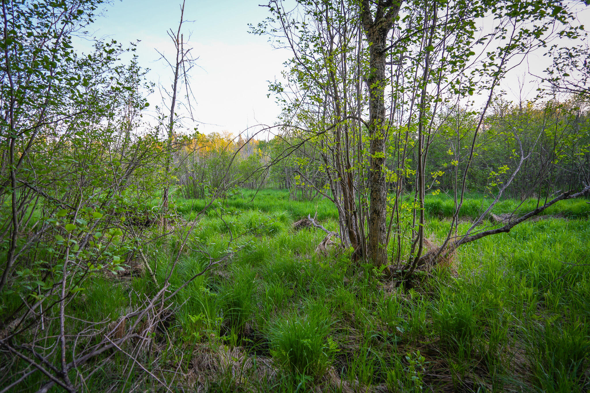 V/l V/l 33rd Road Perkins, MI 49872 - Photo 61 of 70 DSC00100