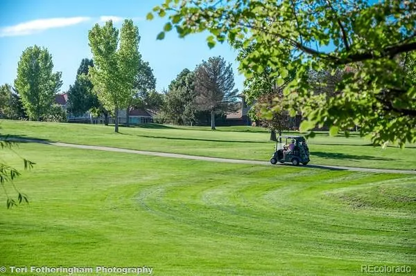 a view of a golf course