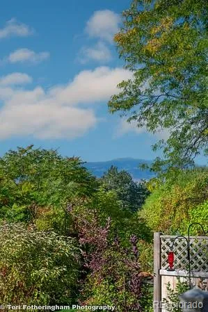 a view of an outdoor sitting area with furniture