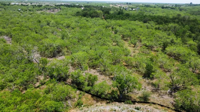 a view of a lush green forest with trees and houses