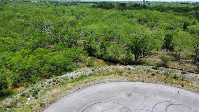 a view of a garden with pathway
