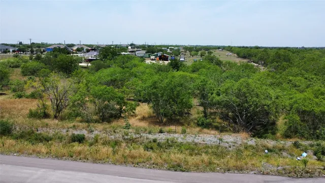 a view of a bunch of trees and bushes