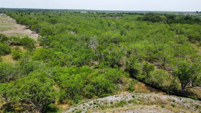 a view of a forest with a street