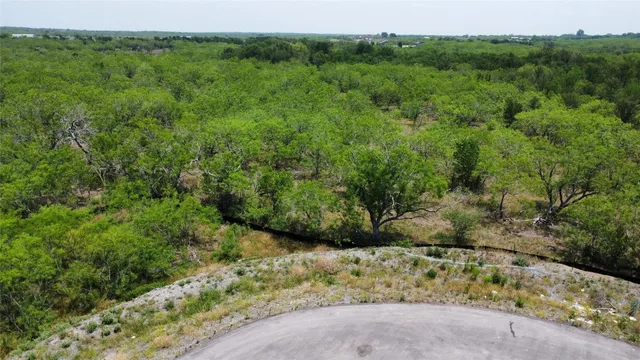 a view of a garden with a large tree