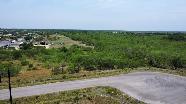 an aerial view of a city with lots of green space
