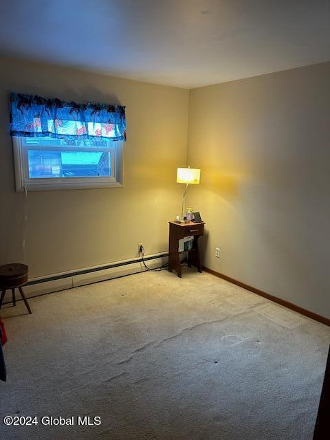 33 Woodin Road Halfmoon, NY 12065 - Photo 23 of 44 IMG_4348