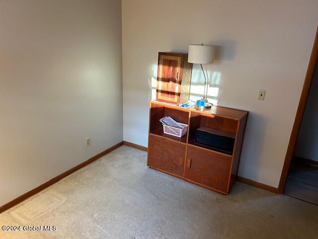 33 Woodin Road Halfmoon, NY 12065 - Photo 24 of 44 IMG_4350