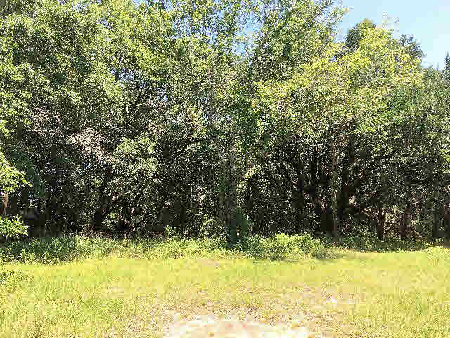 7275 Pinehill Road Daphne, AL 36526 - Photo 4 of 11