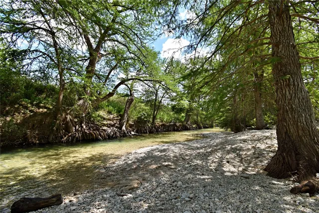 a view of a yard with large trees