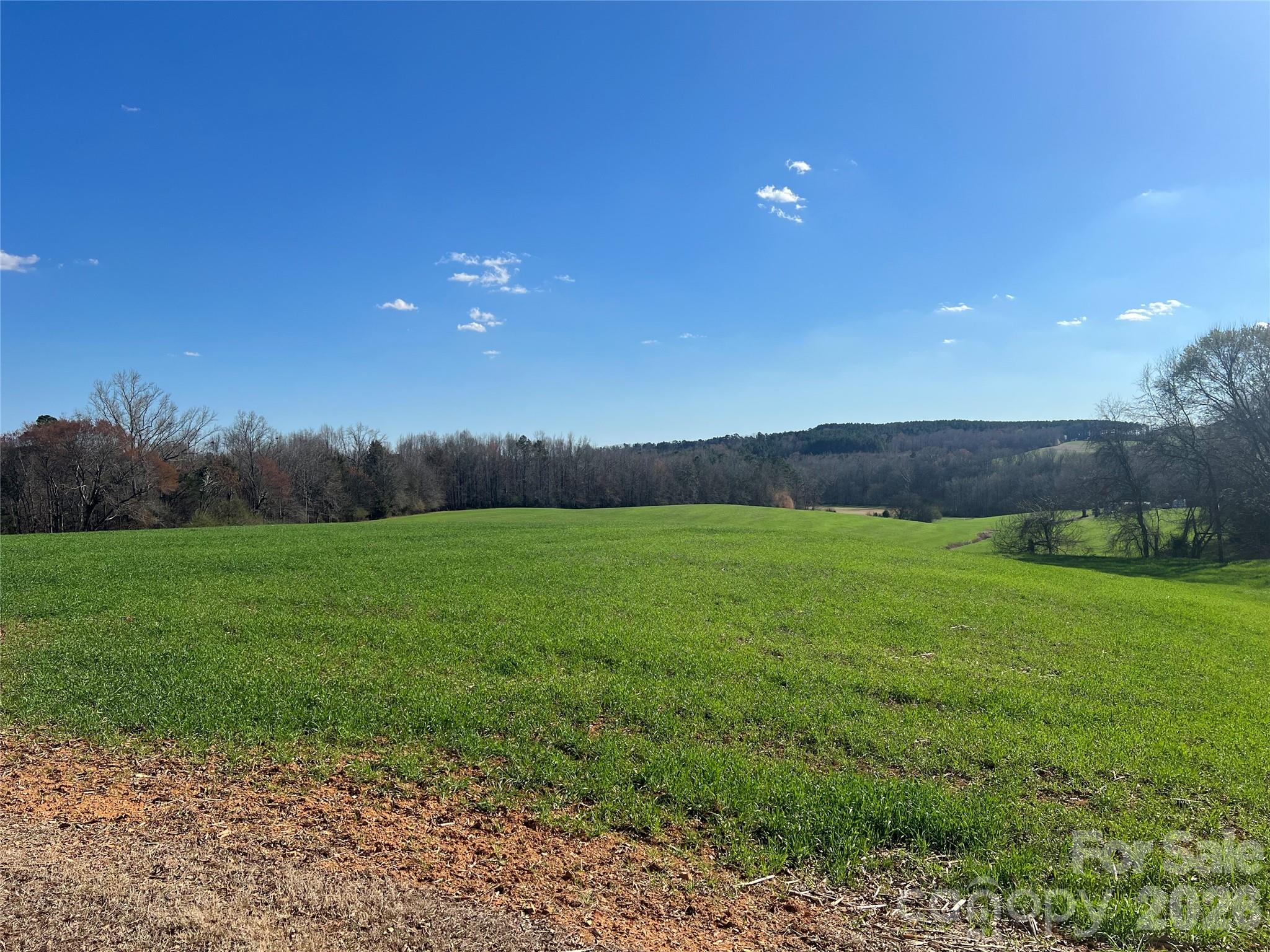 0 Bridge Road Albemarle, NC 28001 - Photo 2 of 7 a view of an outdoor space and yard