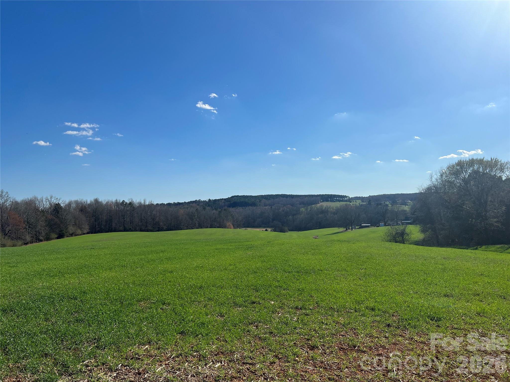 0 Bridge Road Albemarle, NC 28001 - Photo 3 of 7 a view of grassy field with grassy field and mountain view