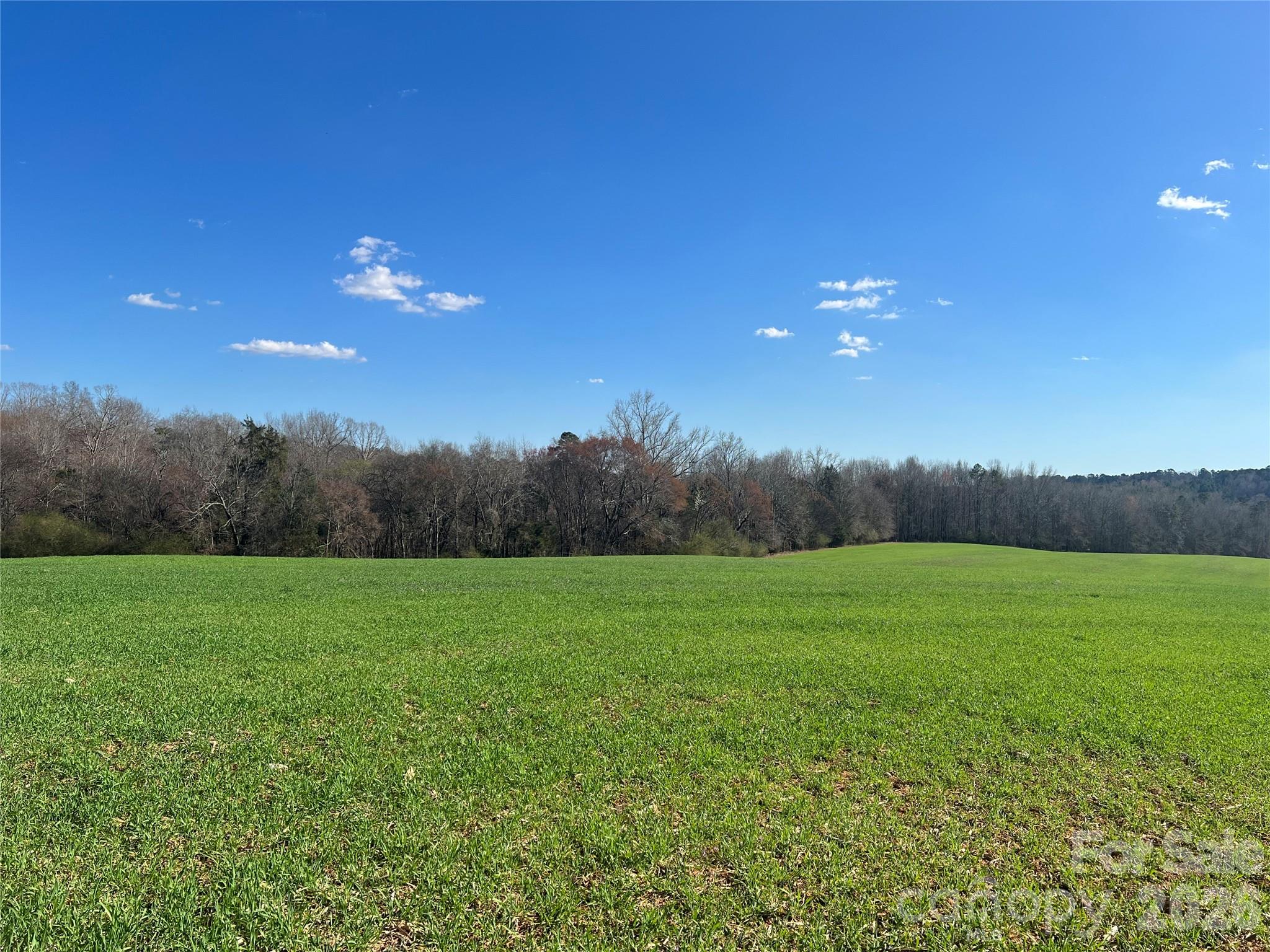 0 Bridge Road Albemarle, NC 28001 - Photo 4 of 7 a view of an outdoor space and a yard