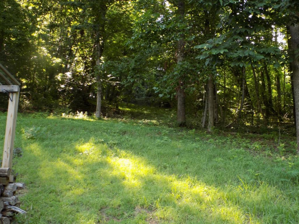 391 Pinhook Road Rogersville, TN 37857 - Photo 20 of 25 Photo 20