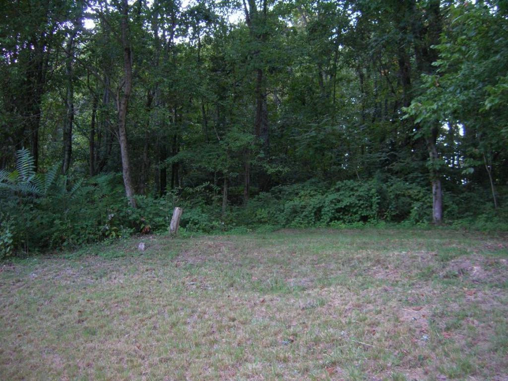 391 Pinhook Road Rogersville, TN 37857 - Photo 24 of 25 Back yard