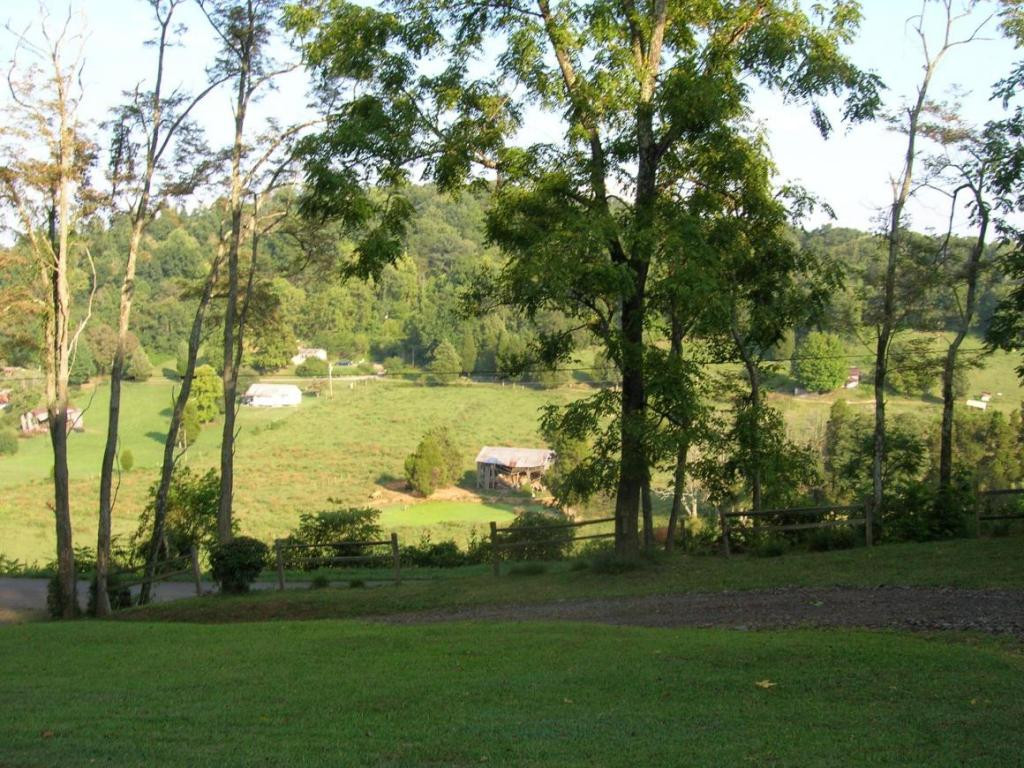 View from front deck