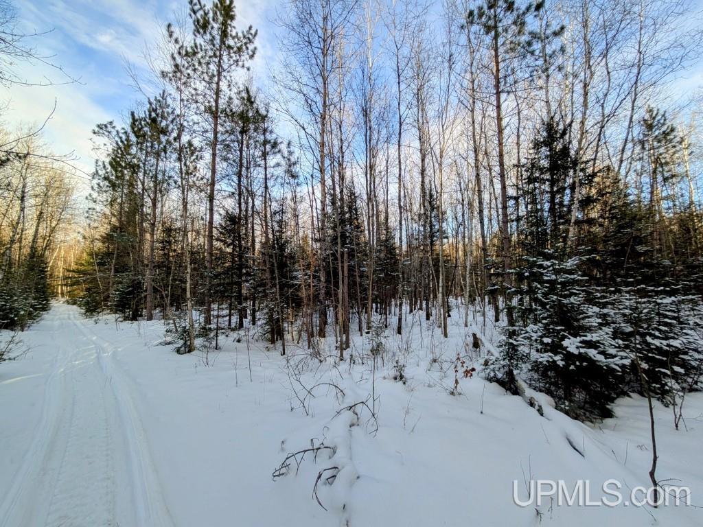 4500 Rd Watersmeet Mi 49969 Road Trout Creek, MI 49967 - Photo 12 of 17