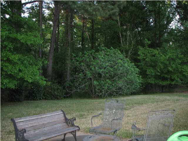 1410 Huntcliff Way Clinton, MS 39056 - Photo 15 of 16 Backyard