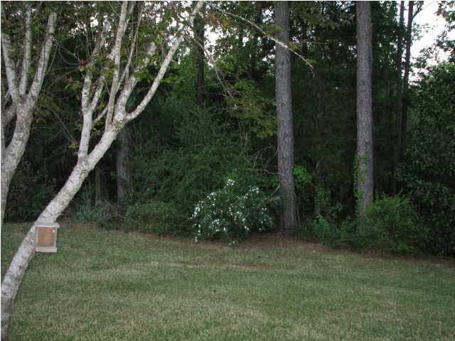 1410 Huntcliff Way Clinton, MS 39056 - Photo 16 of 16 Backyard