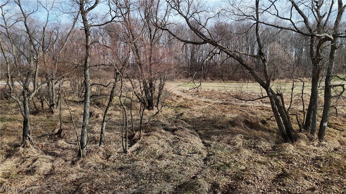 Jones Road Wellington, OH 44090 - Photo 13 of 18 View of undeveloped land