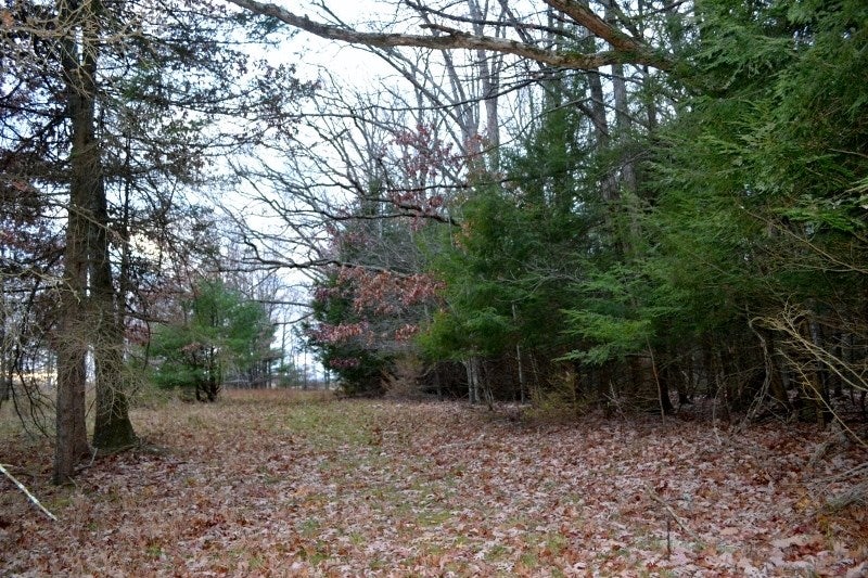 1809 Crayton Road Monroeton, PA 18832 - Photo 67 of 75 Gallery Image 67