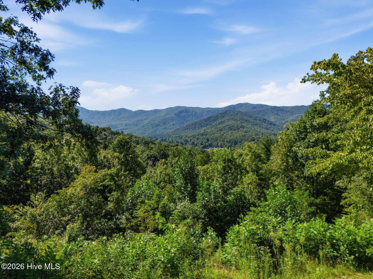 289 Bethabara Road Hayesville, NC 28904 - Photo 51 of 67 Gallery Image 51