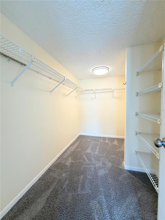 4550 Bay Boulevard, Unit 1224 Port Richey, FL 34668 - Photo 16 of 25 a view of an empty walk in closet
