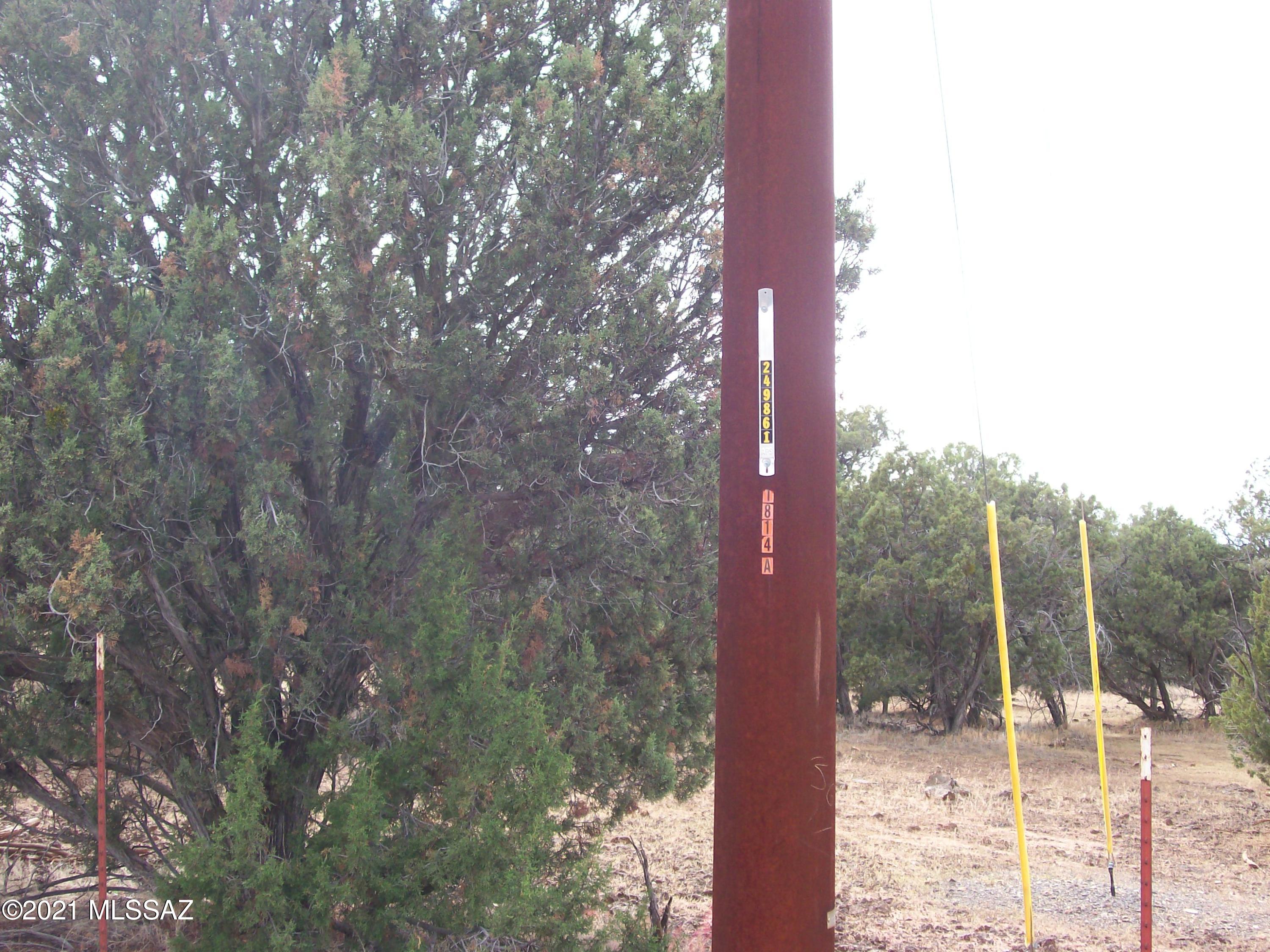 1814 Pronghorn Road Show Low, AZ 85901 - Photo 10 of 10 Gallery Image 10