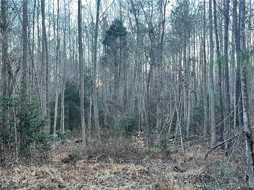 Tbd / Lot 2 Tbd / Road Providence Forge, VA 23140 - Photo 8 of 10 Gallery Image 8