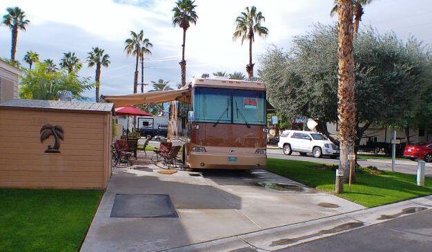 a view of a patio with table and chairs potted plants and palm trees
