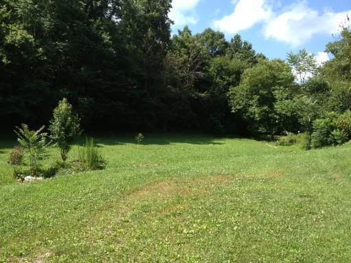 2100 Raby Town Road Philadelphia, TN 37846 - Photo 4 of 15 Additional Photo