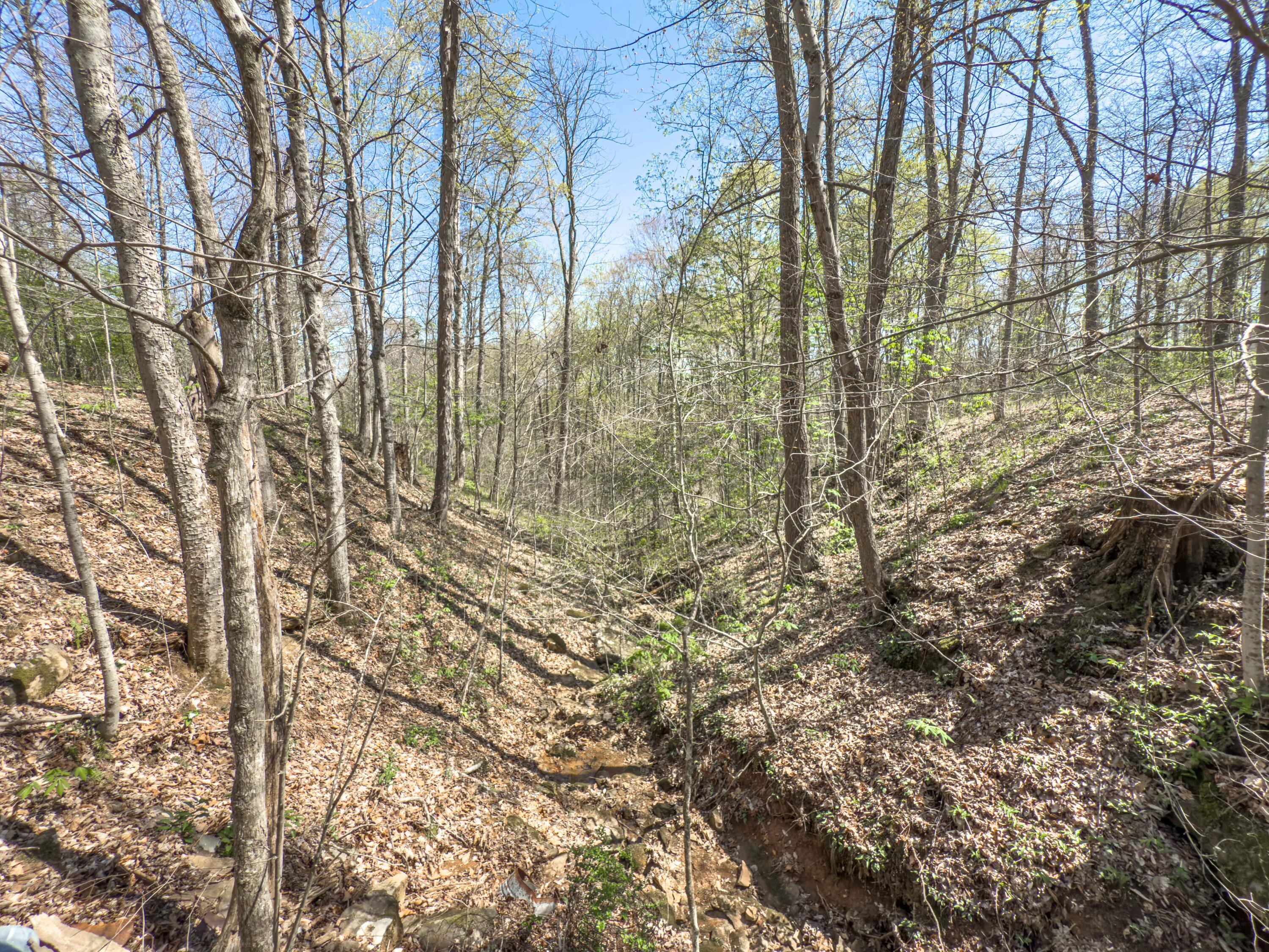 14375 Hooper Ridge Road Millfield, OH 45761 - Photo 75 of 86 Hooper Ridge Rd-74