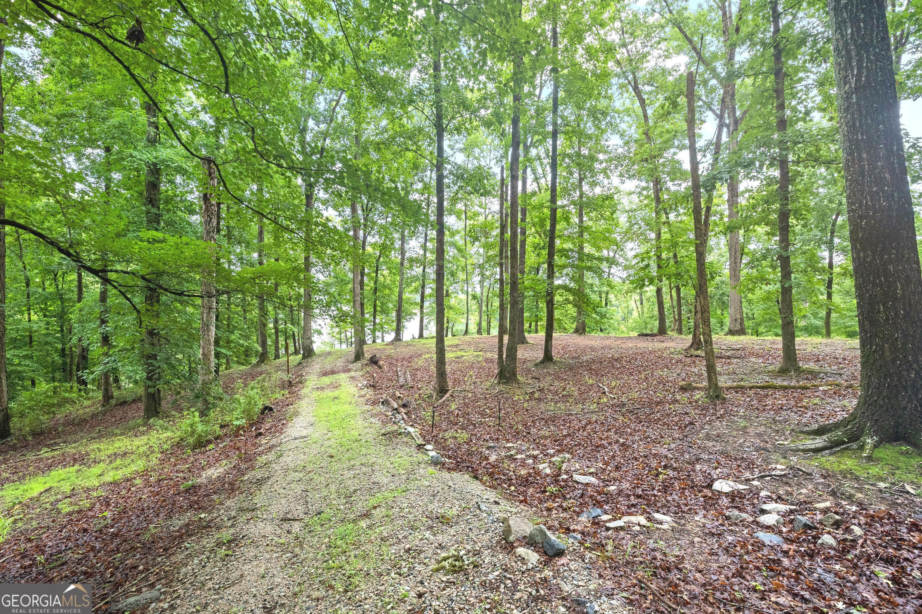 394 Ferrell-Tatum Road LaGrange, GA 30240 - Photo 7 of 83