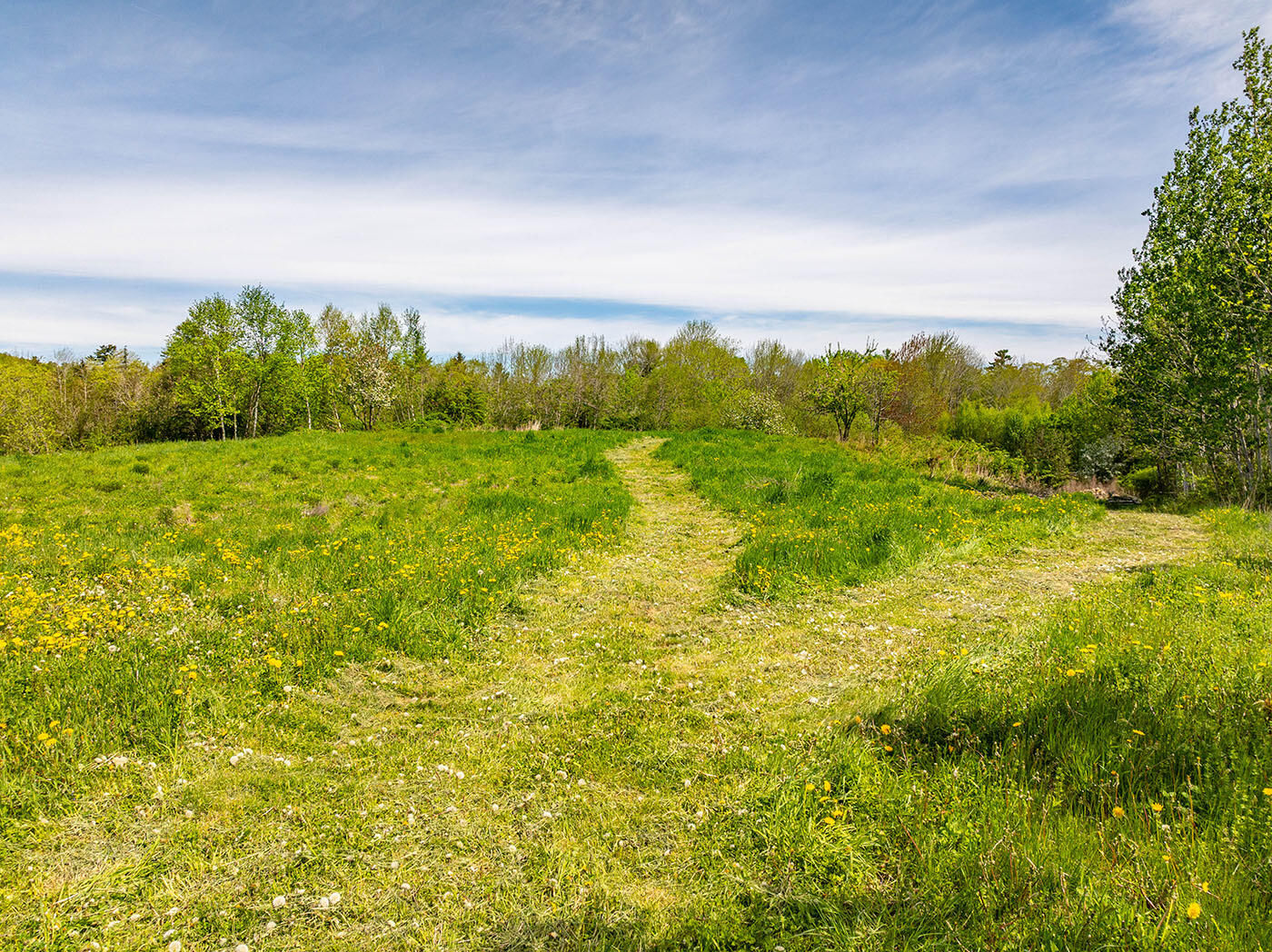 19 Old Stone Road Lincolnville, ME 04849 - Photo 2 of 13 Approaching the lot from the road