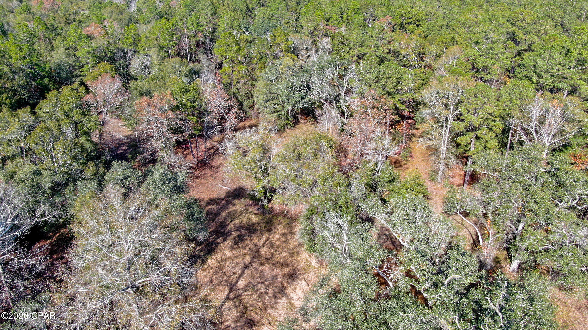 5136 Dupree Road Vernon, FL 32462 - Photo 11 of 17