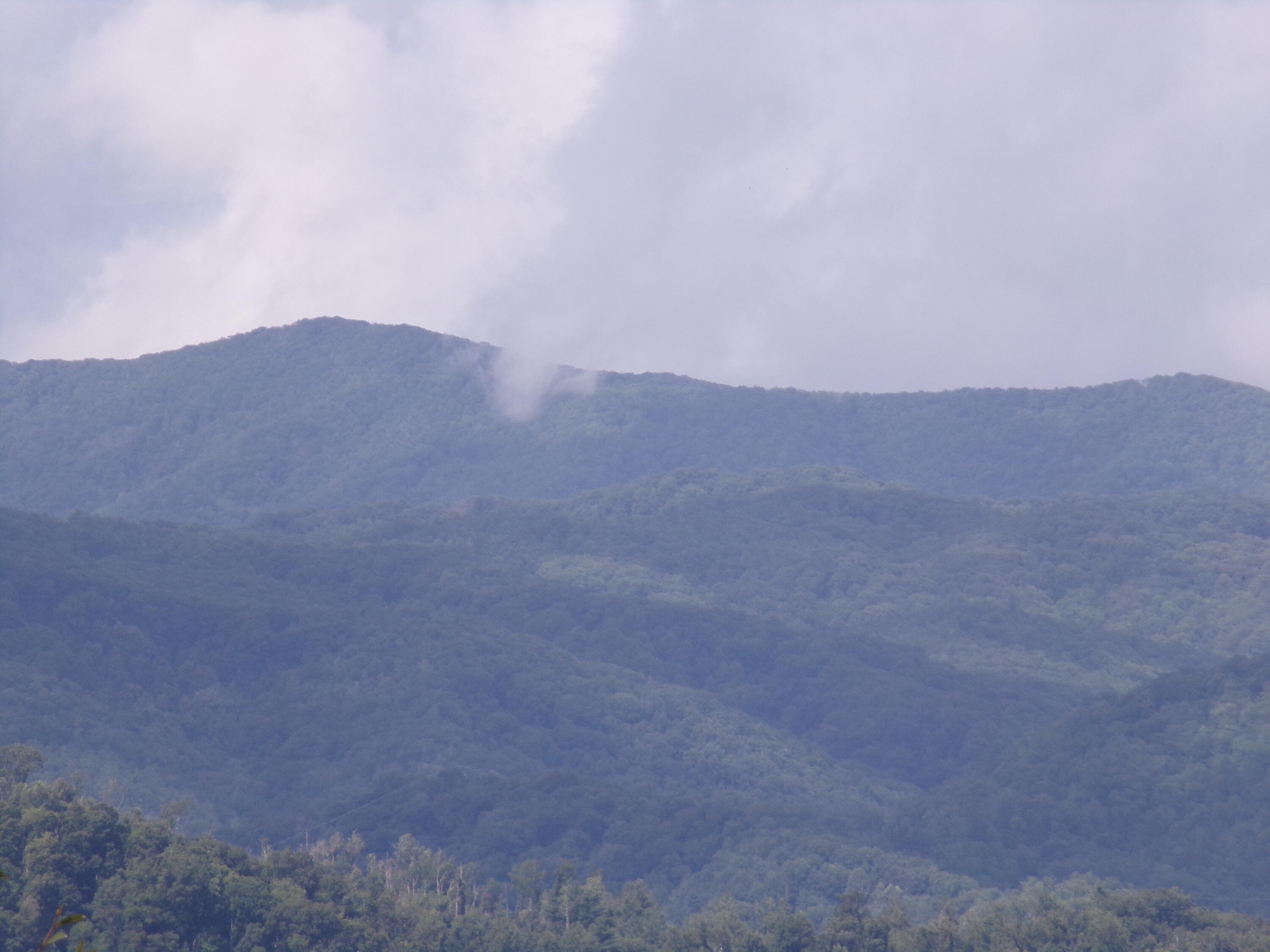 Lot 22 Lake Ridge, Unit 22 Butler, TN 37640 - Photo 7 of 7 103_4953