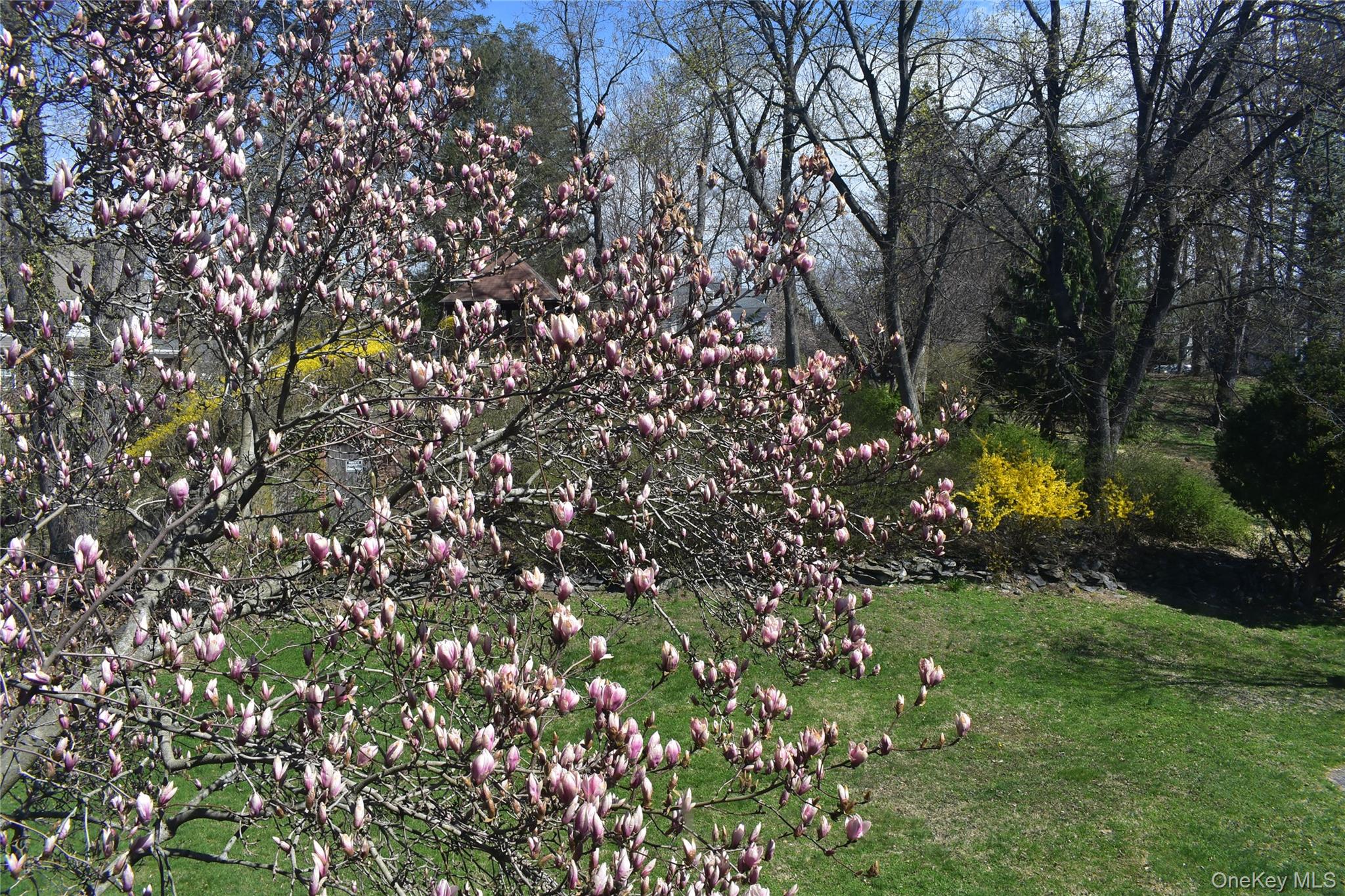 21 Rosalind Road Poughkeepsie, NY 12601 - Photo 9 of 49