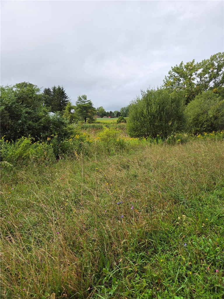 0 Richley Road Corfu, NY 14036 - Photo 3 of 6