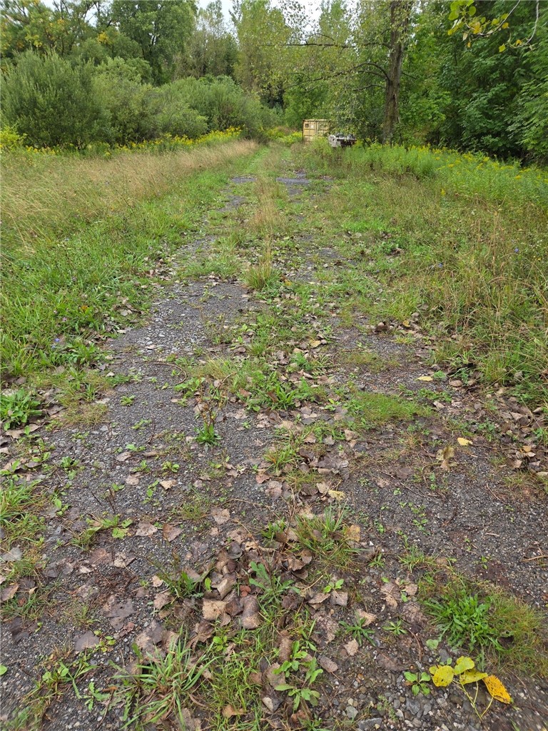 0 Richley Road Corfu, NY 14036 - Photo 4 of 6 Driveway