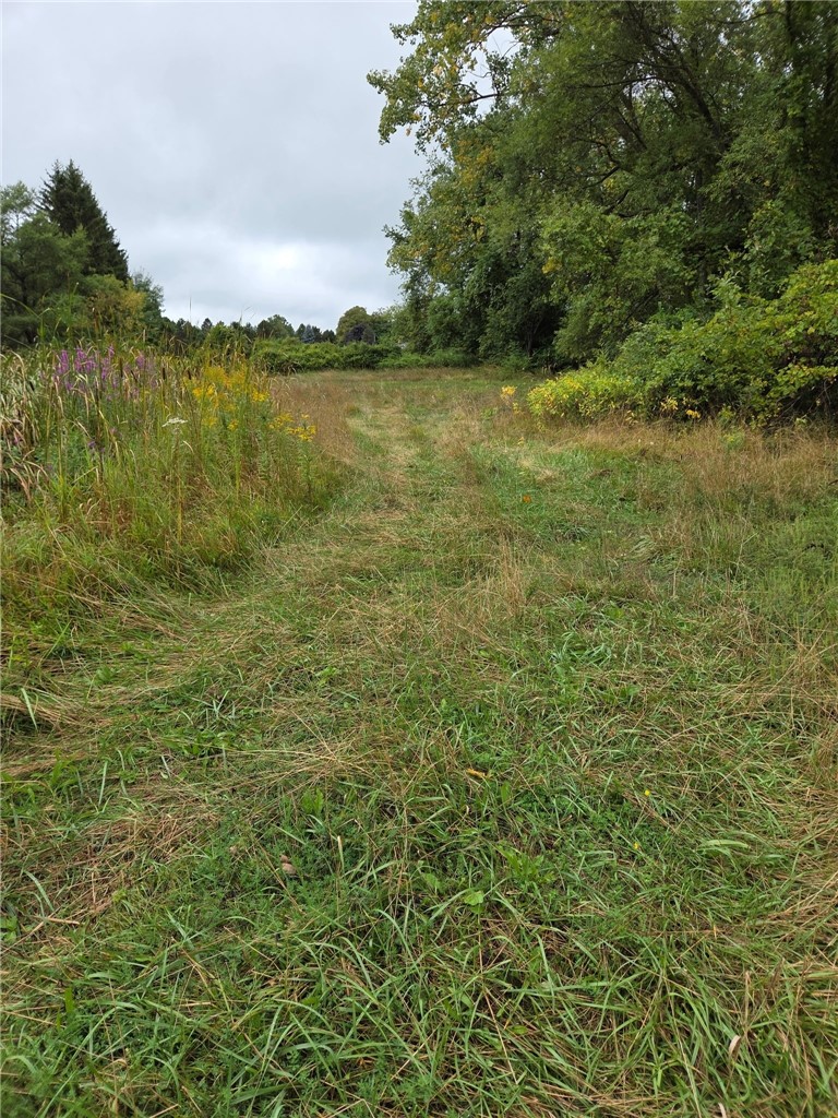 0 Richley Road Corfu, NY 14036 - Photo 5 of 6