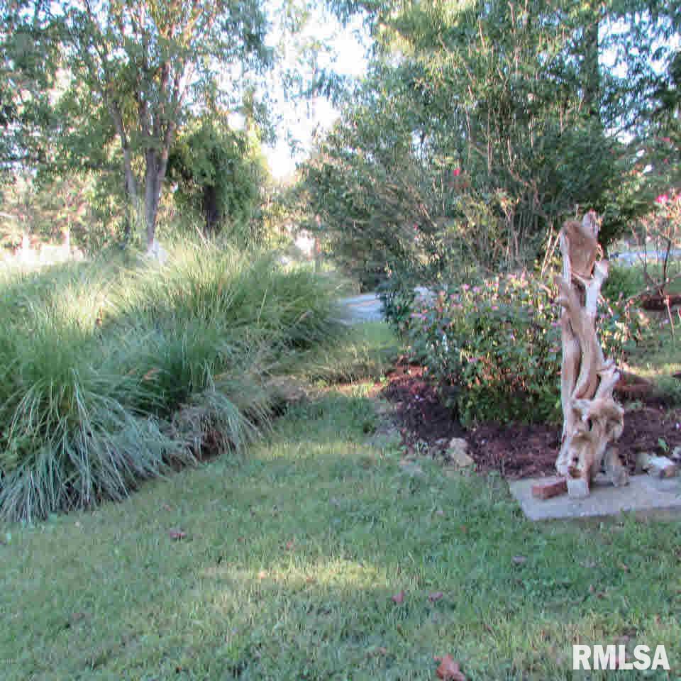 669 Union Hill Road Carbondale, IL 62903 - Photo 28 of 34