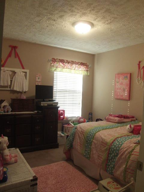 6658 Dug Hollow Road Bradyville, TN 37026 - Photo 10 of 17