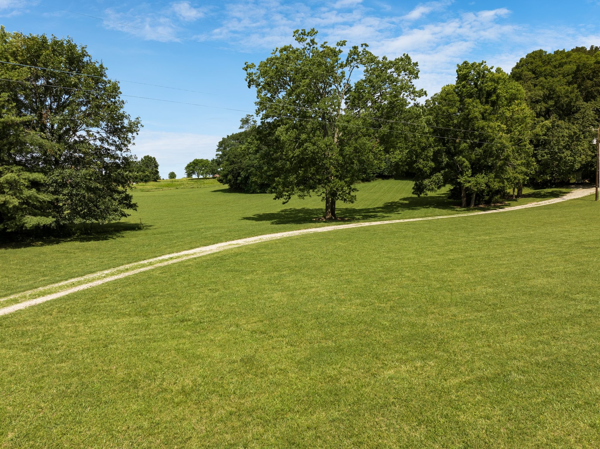 4092 Clovercroft Road Franklin, TN 37067 - Photo 11 of 26 a view of a large yard with a large trees