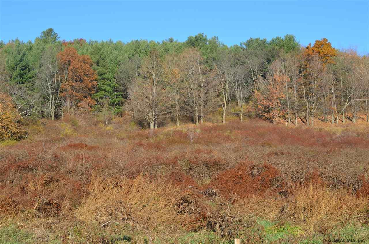 513 Breese Hollow Road Hoosick, NY 12090 - Photo 1 of 3 Photo 1