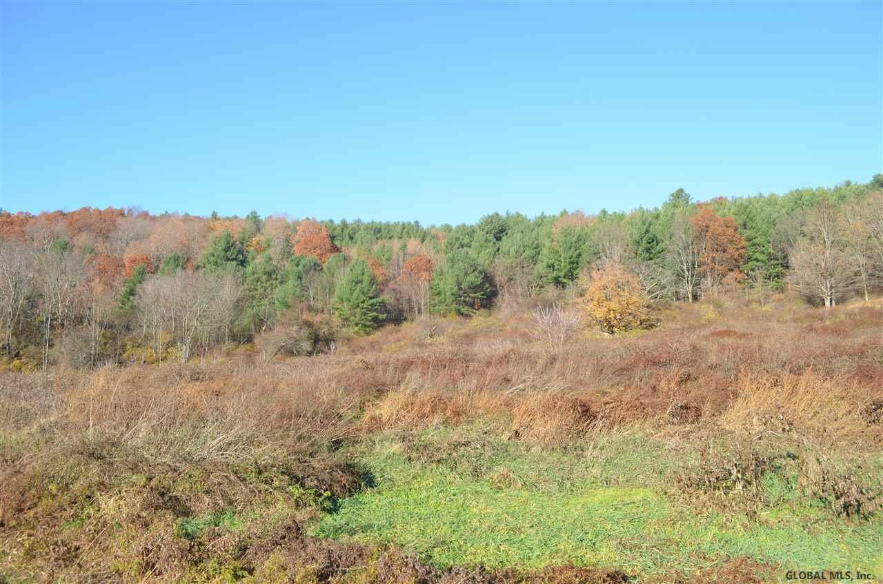 513 Breese Hollow Road Hoosick, NY 12090 - Photo 2 of 3 Photo 2