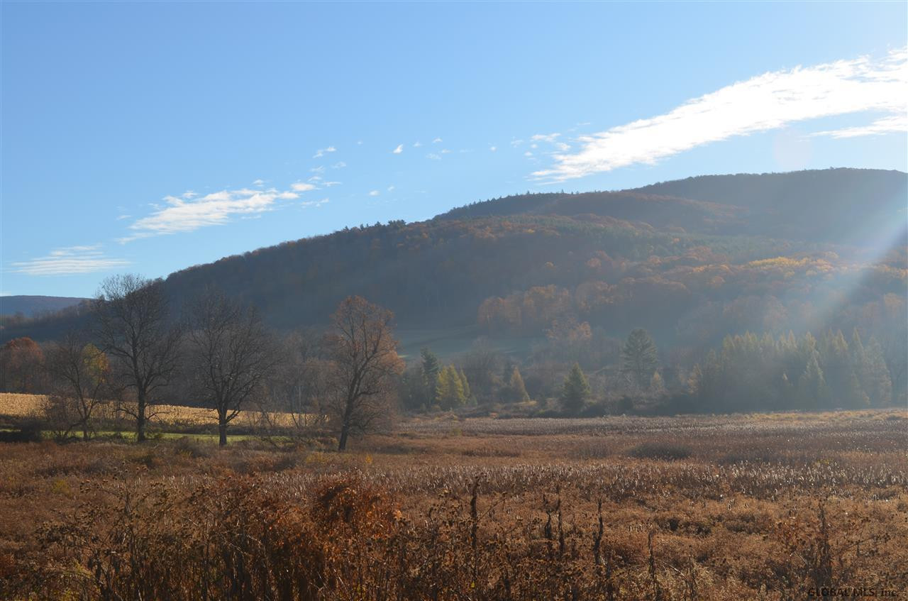 513 Breese Hollow Road Hoosick, NY 12090 - Photo 3 of 3 Photo 3