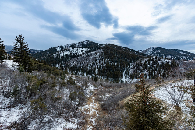 7331 Pine Ridge Drive Park City, UT 84098 - Photo 61 of 94