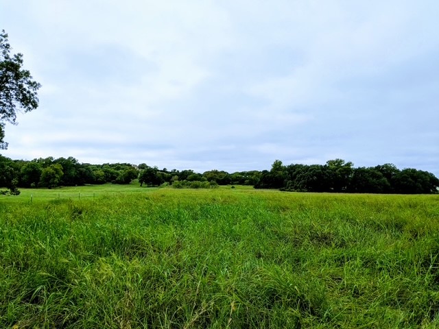 502 Hi Ridge Drive Killeen, TX 76549 - Photo 3 of 7 a view of field with field and trees