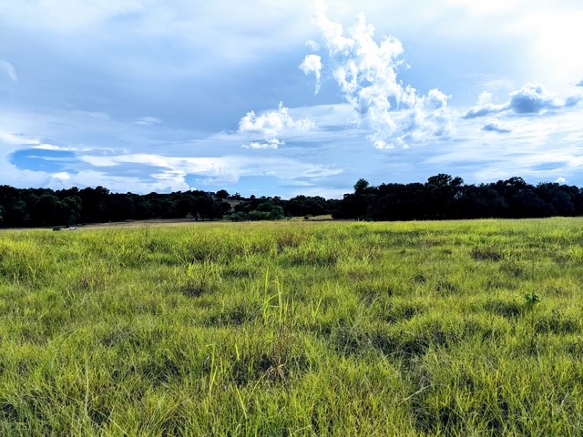 502 Hi Ridge Drive Killeen, TX 76549 - Photo 4 of 7 a view of a lake with houses in the back