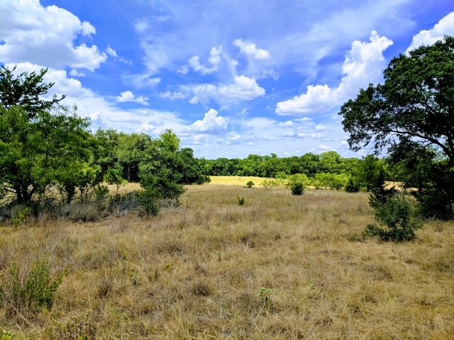 502 Hi Ridge Drive Killeen, TX 76549 - Photo 5 of 7 a view of a yard with an tree