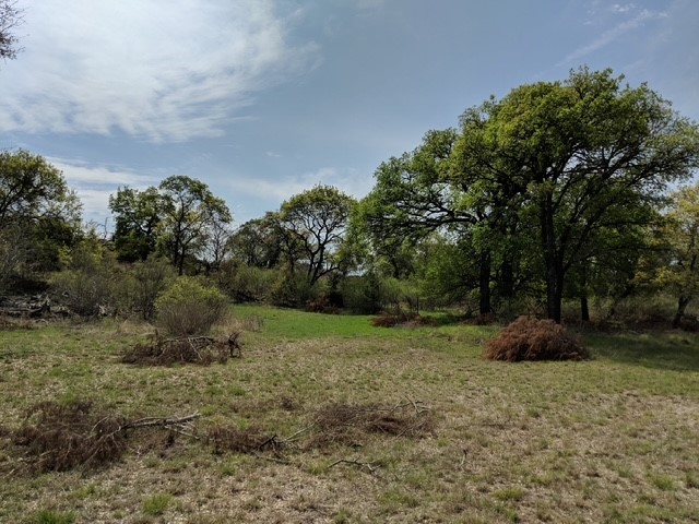 502 Hi Ridge Drive Killeen, TX 76549 - Photo 6 of 7 a big yard with lots of green space and plants